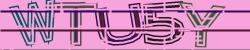 TICKET